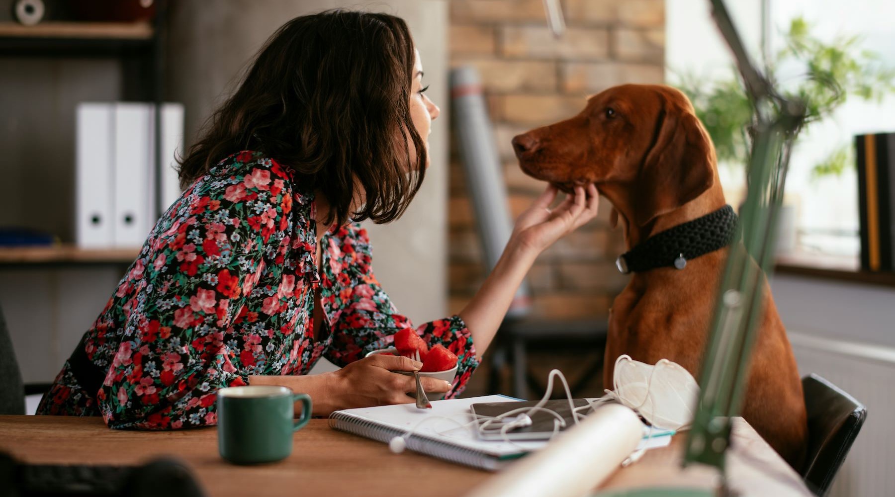 a woman petting a dog