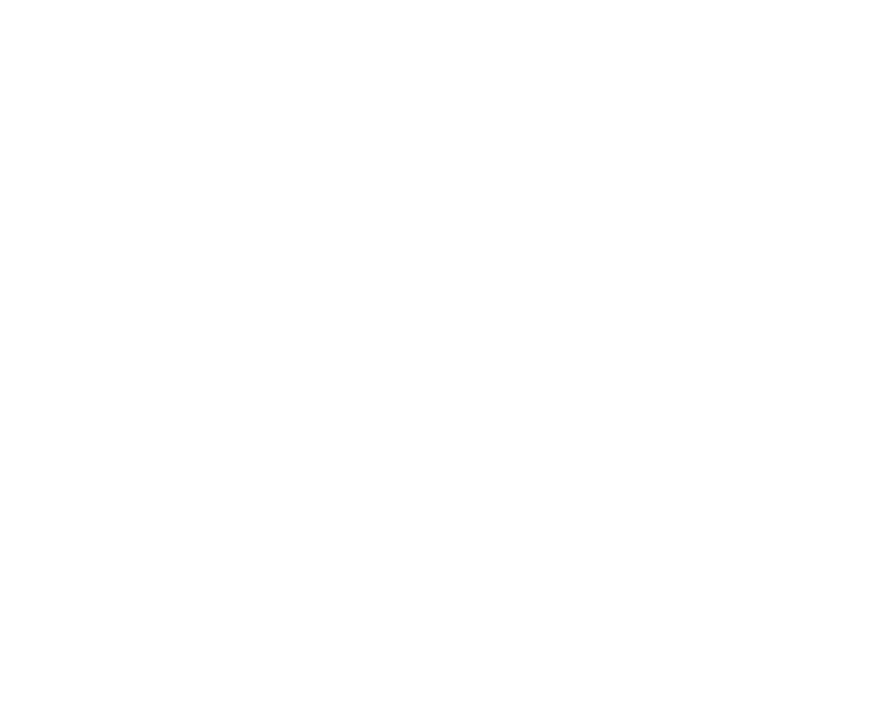 The Etta at Parmer Village Logo